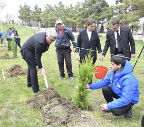 “Şəhərsalma və Memarlıq İli” çərçivəsində Qubada növbəti ağacəkmə aksiyası keçirilib.