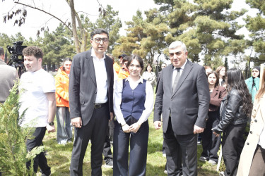 “Şəhərsalma və Memarlıq İli” çərçivəsində Qubada növbəti ağacəkmə aksiyası keçirilib.