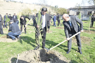 8 Noyabr- Zəfər Günü münasibətilə silsilə tədbirlər davam etdirilir.