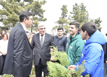 “Şəhərsalma və Memarlıq İli” çərçivəsində Qubada növbəti ağacəkmə aksiyası keçirilib.