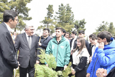 “Şəhərsalma və Memarlıq İli” çərçivəsində Qubada növbəti ağacəkmə aksiyası keçirilib.