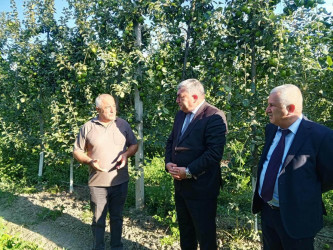 Quba rayonunda kənd təsərrüfatı subyektlərinə baxış keçirildi.