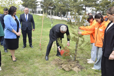 “Şəhərsalma və Memarlıq İli” çərçivəsində Qubada növbəti ağacəkmə aksiyası keçirilib.